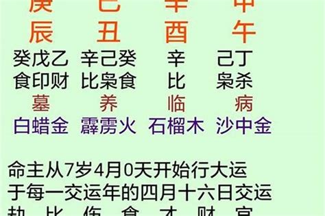 壬辰日主|八字干支解讀——壬辰：人騎龍背，自在高飛！